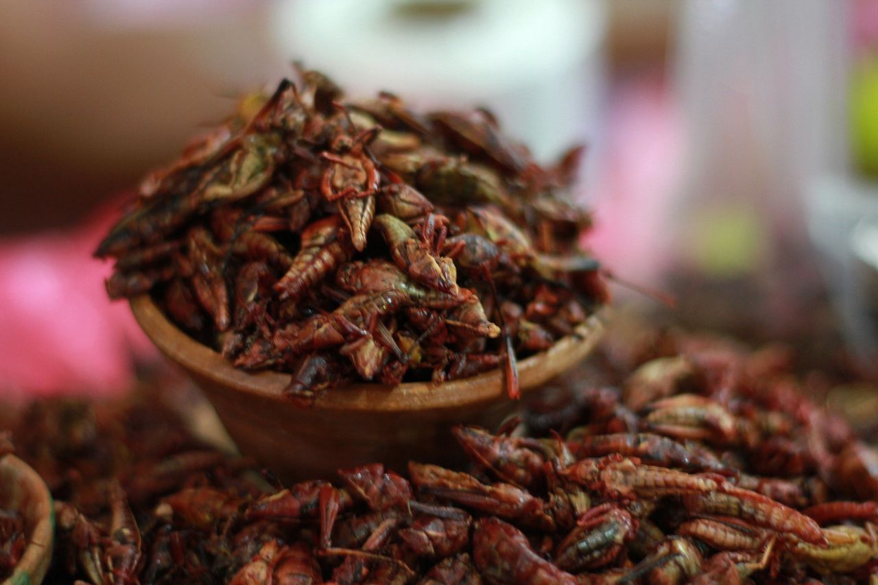 Lime- and chile-spiced chapulines are ready for sale in a market in Oaxaca. The grasshoppers are fried, seasoned and eaten as a snack. 