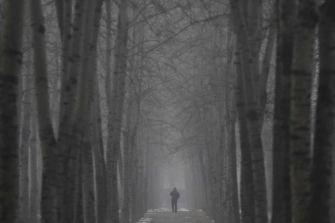 A man walks through trees on January 23.