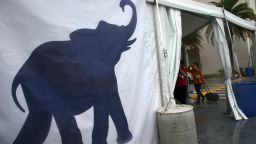 An elephant signs stands in the wind and rain at the Republican National Convention last August in Tampa.