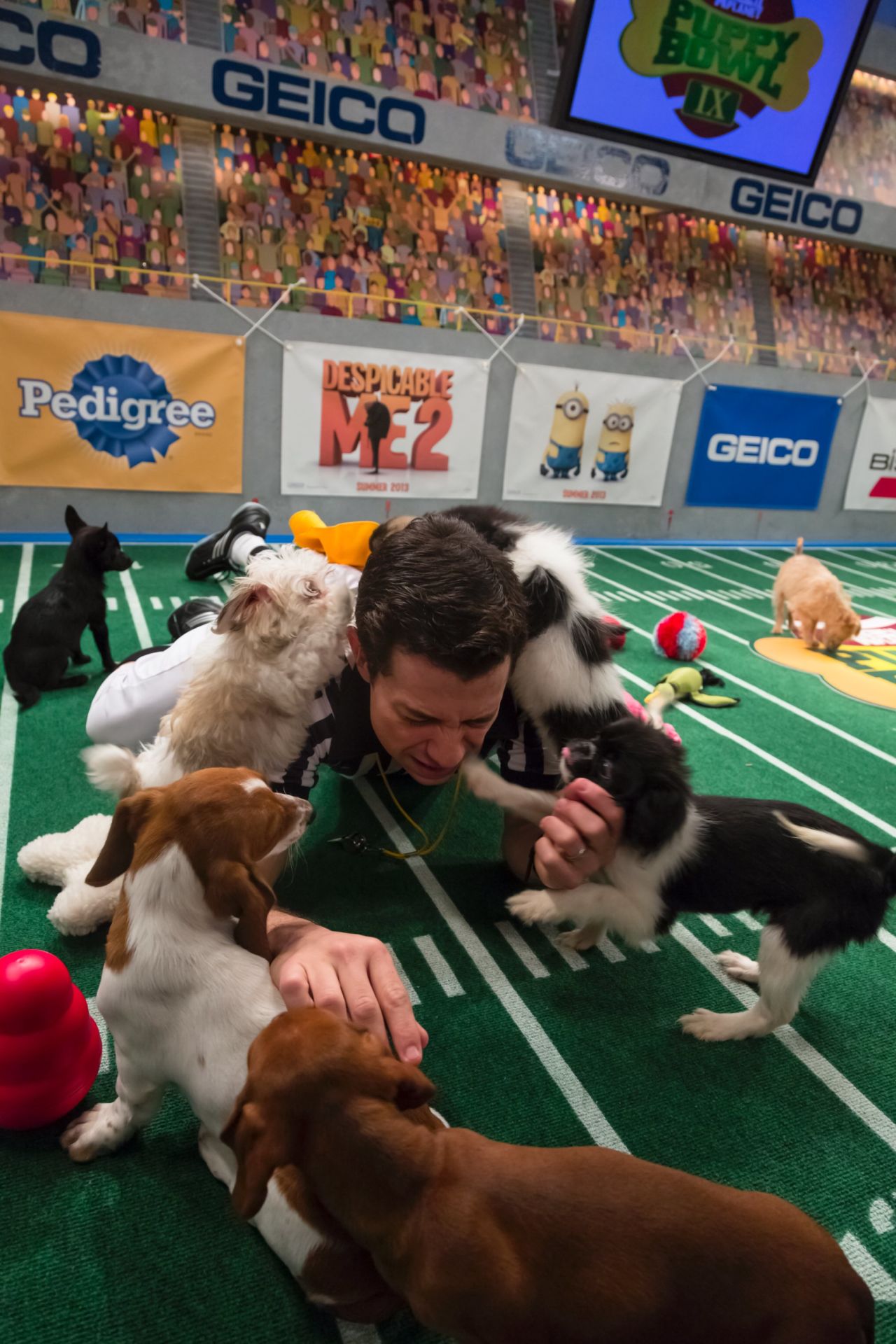 Meet the puppies and their friends | CNN