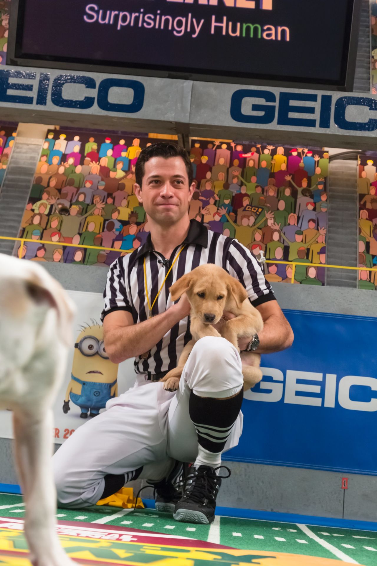 Referee Schachner gives Chestnut a cuddly time out.