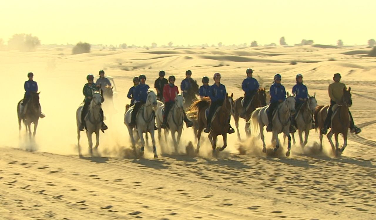 They are trained at a stables owned by Sheikh Hamdan, the brother of Dubai's ruler Sheikh Mohammed. 