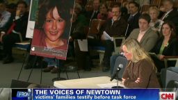 erin newtown victims families testify before task force_00012027.jpg