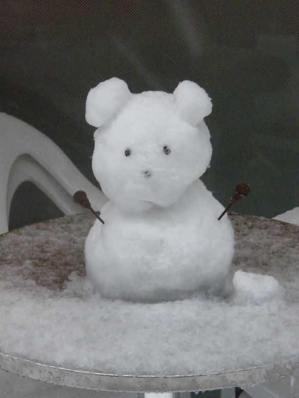 OK, maybe this one's cheating, but you must admit -- it's adorable. Adrian Ringin <a href="http://ireport.cnn.com/docs/DOC-910974">spotted the little snow bear</a> on January 14 in Tokyo. "The entire city was covered in snow, but I really liked this little example of creativity," he said.