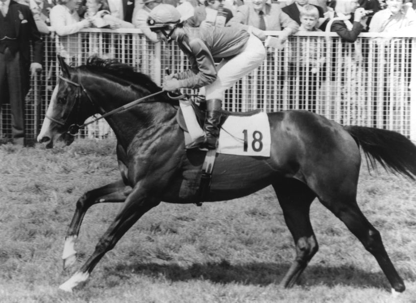 Of his eight races, Shergar won six, earning £436,000 ($688,000) in prize money. As a breeding stallion he was valued at a staggering £10 million ($16 million).