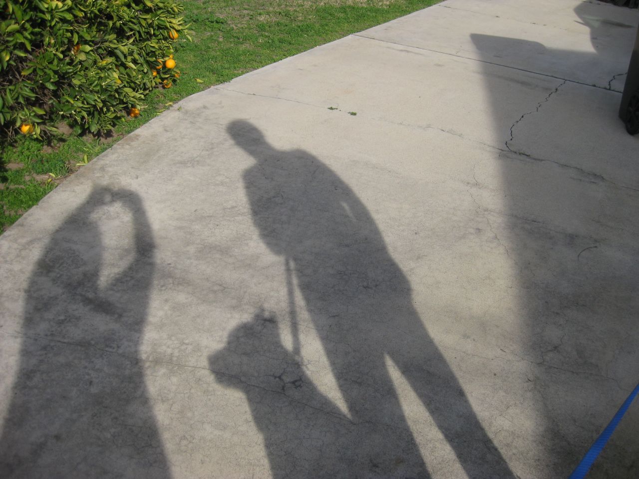 <a href="http://ireport.cnn.com/docs/DOC-919513" target="_blank">iReporter Kathi Cordsen</a> captured this photo at 7:45 a.m. on Groundhog Day in Fullerton, California, and predicts it'll be a shorter winter for Californians this year.
