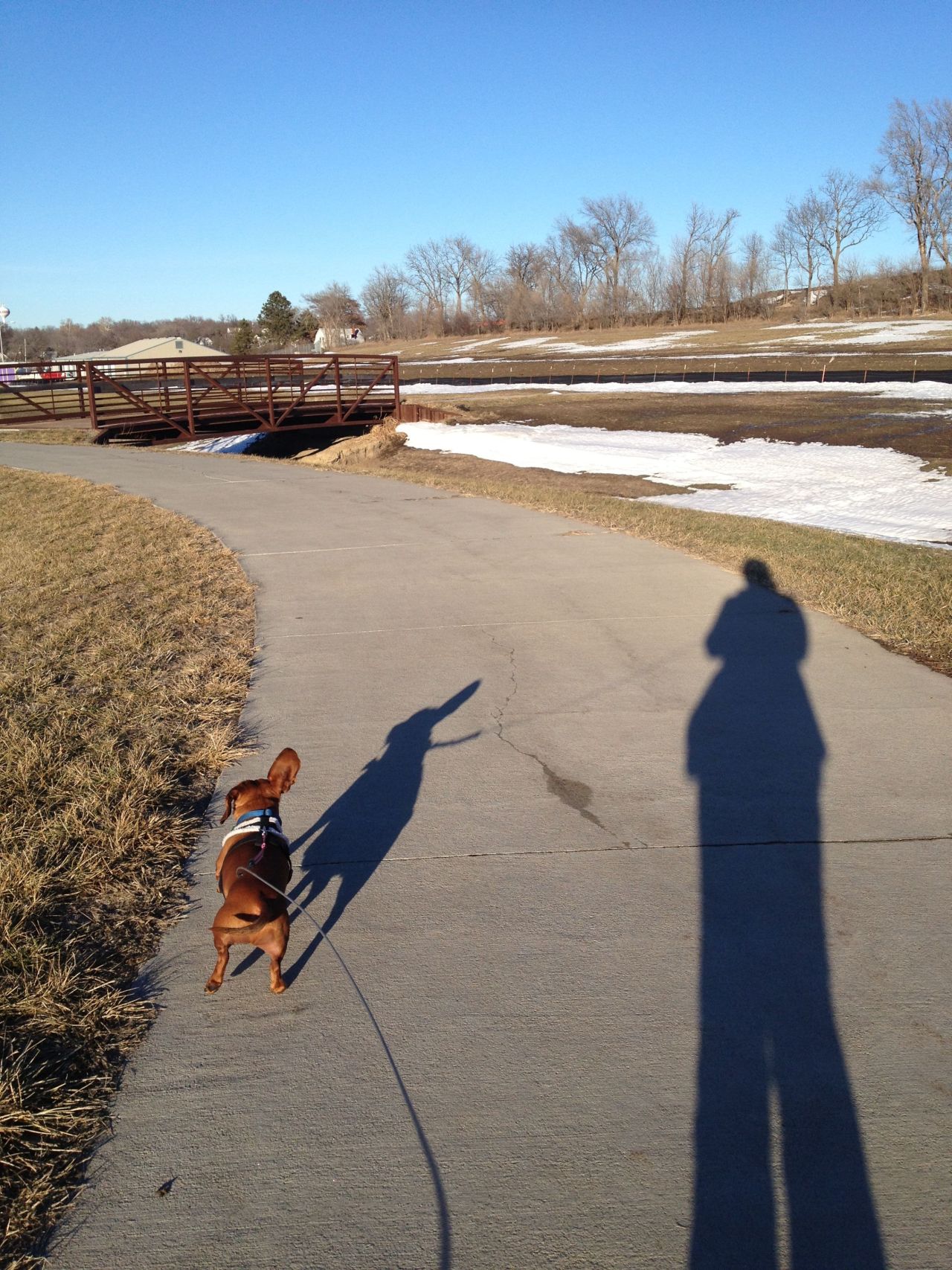 <a href="http://ireport.cnn.com/docs/DOC-919582" target="_blank">iReporter Holly Naab</a> shot this photo of her and her puppy, Frank, at a park in Elkhorn, Nebraska. "I'm hoping for an early spring, so Frank can get outside more," she said.<br />