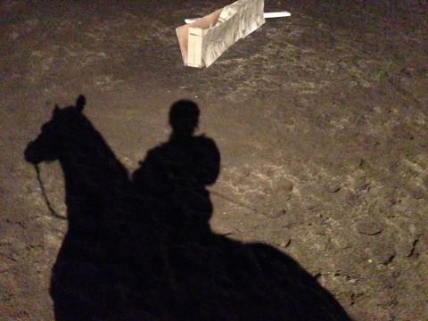 <a href="http://ireport.cnn.com/docs/DOC-919625" target="_blank">iReporter Jennifer Hainin</a> took this shadow photo of her on her horse. "It would be great for spring to come early, as long as that doesn't mean that summer comes sooner," she said.