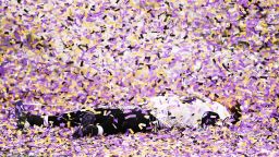 Morgan Cox of the Baltimore Ravens lies on the field while celebrating after defeating the San Francisco 49ers 34-31 in Super Bowl XLVII at the Mercedes-Benz Superdome on Sunday, February 3, in New Orleans, Louisiana.