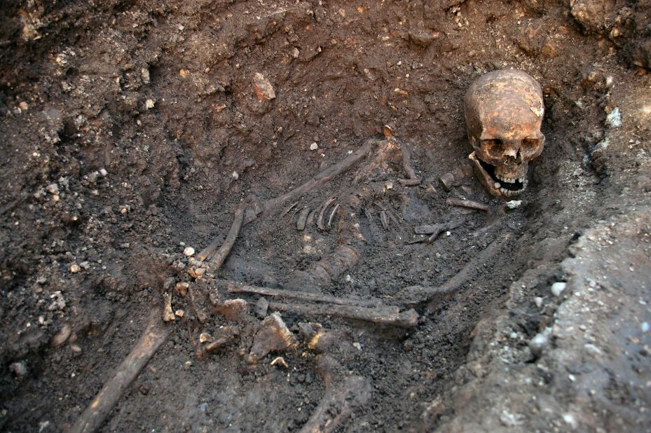 The skeleton being excavated, showing the curve in the spine and the way the head had been squashed into the grave. The hands may have been tied.