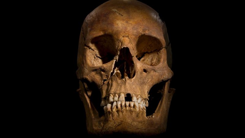 King Richard III's bones reveal fatal blows, scientists say