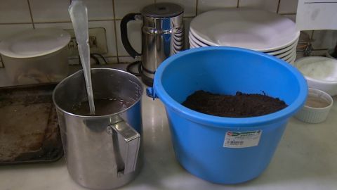 Fresh fish? Check. Washed greens? Check. Bucket of dirt? Check.