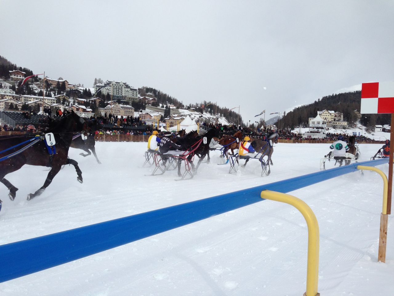 Each meeting features flat racing, skijoring and winter-style trotting (pictured).