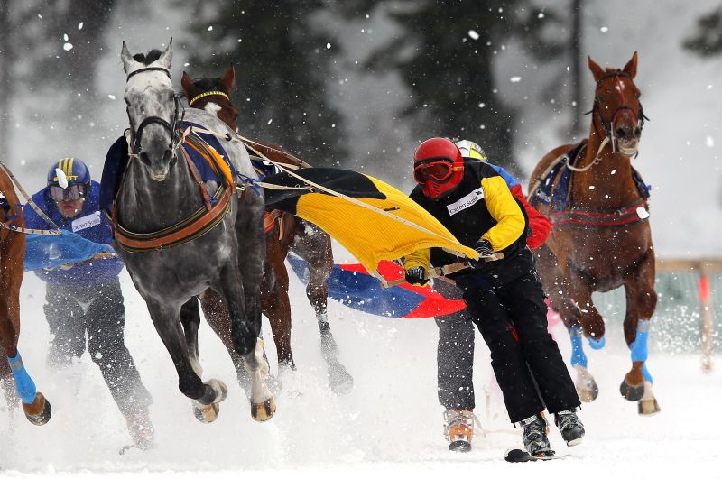 Cool racing Horses battle on snow CNN