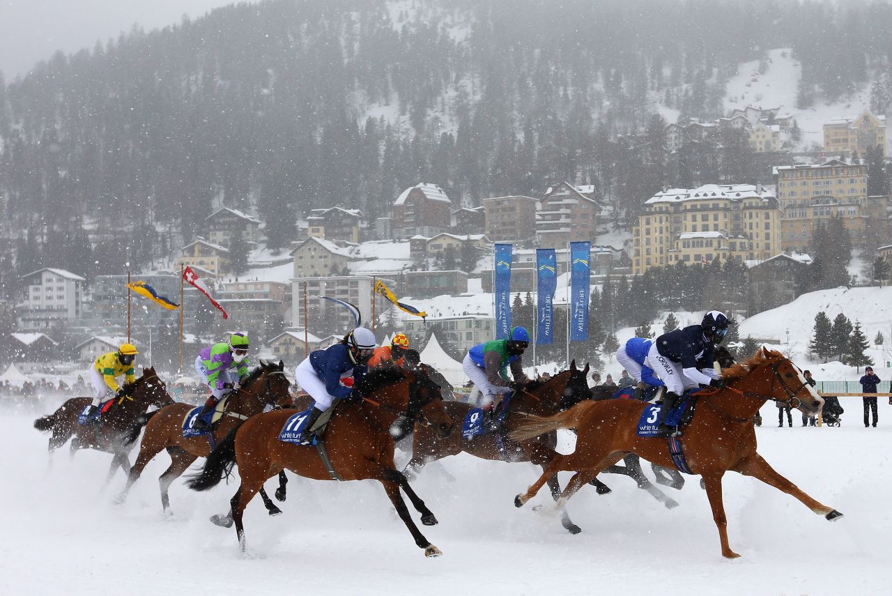 Horses for White Turf are brought to St Moritz from all over the world, including Hungary, Italy, France, Germany and the UK. 