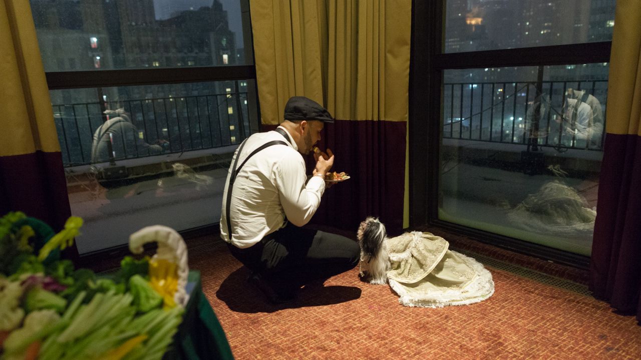 A dog and its owner take a break during the New York Pet Fashion Show.