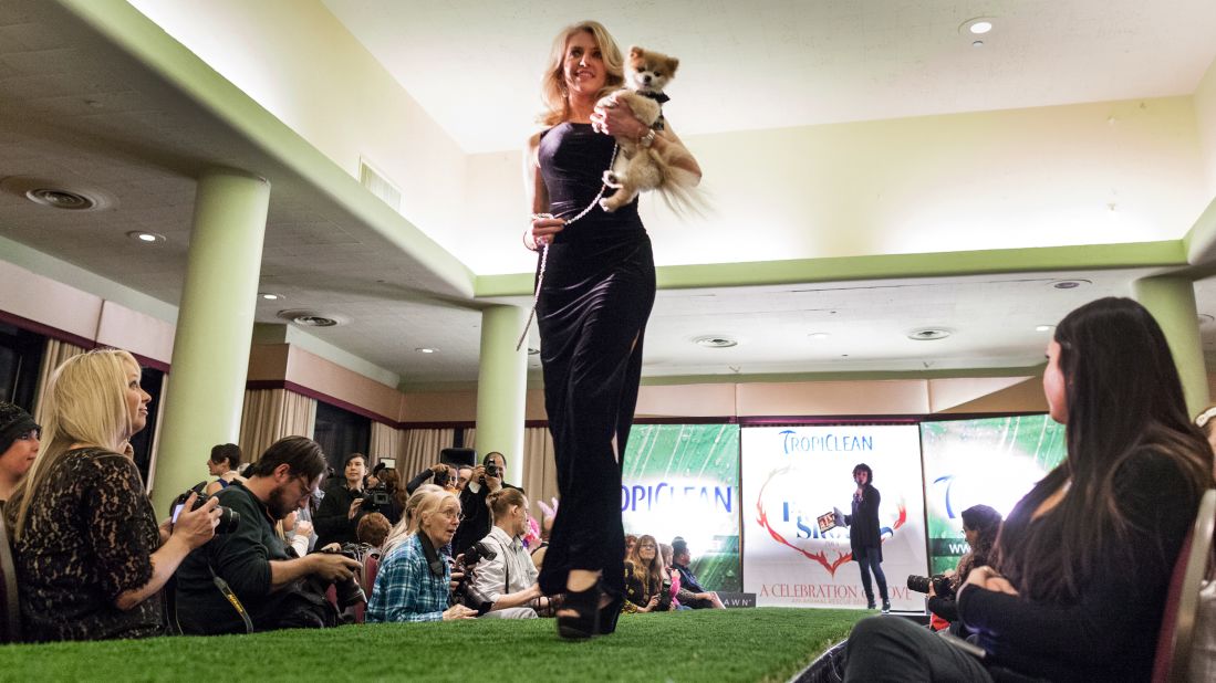 A dog and its master work the runway.