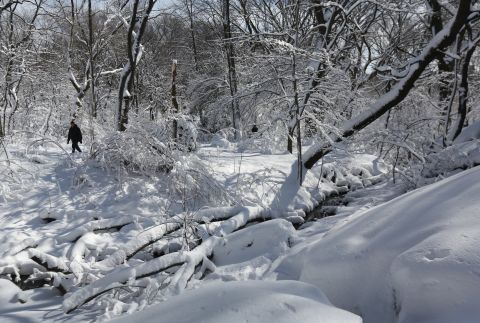 A man walks along a snow-covered trail in Central Park on Saturday.