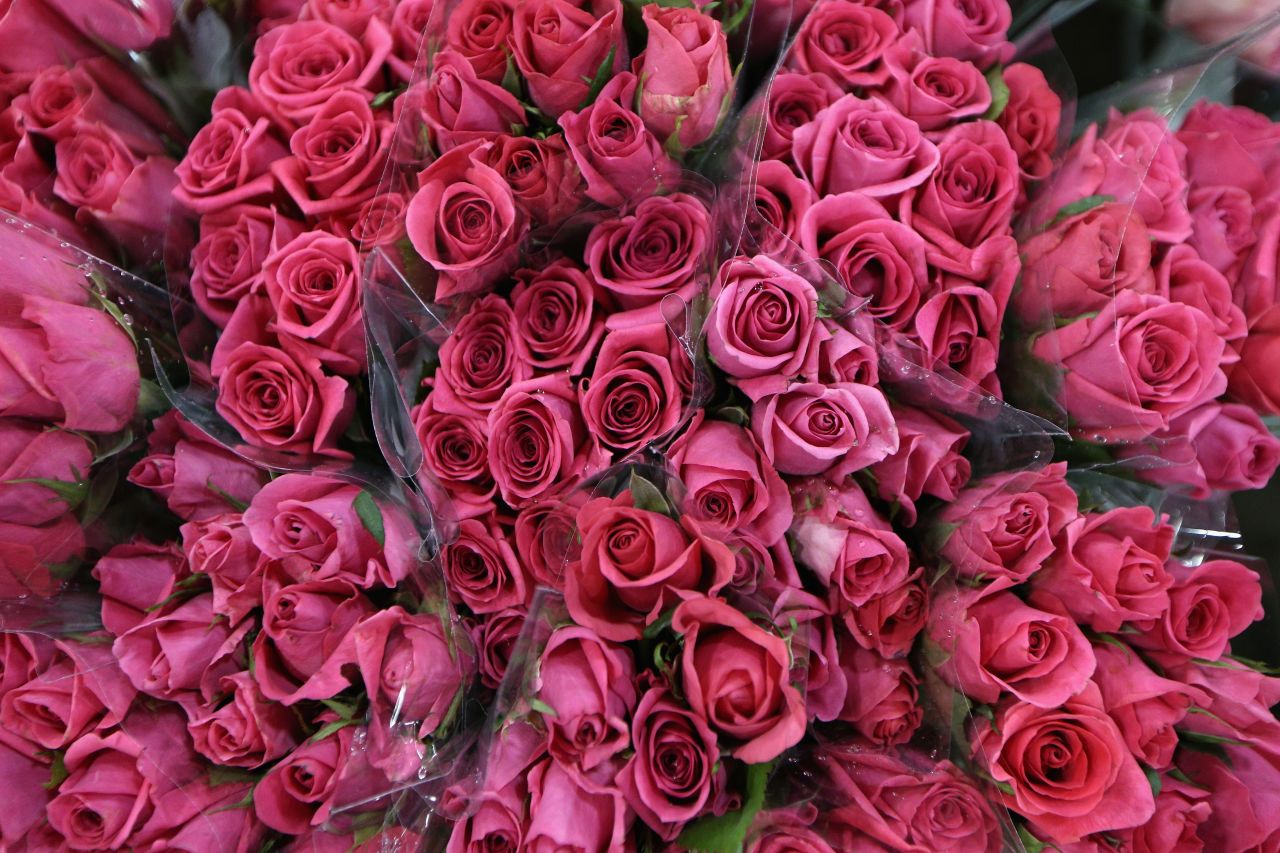 Roses are displayed on Valentine's Day at a flower market in Sydney. 