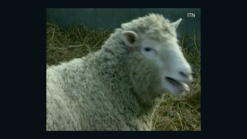 cnn30.1996.dolly.sheep.clone_cms2.jpg