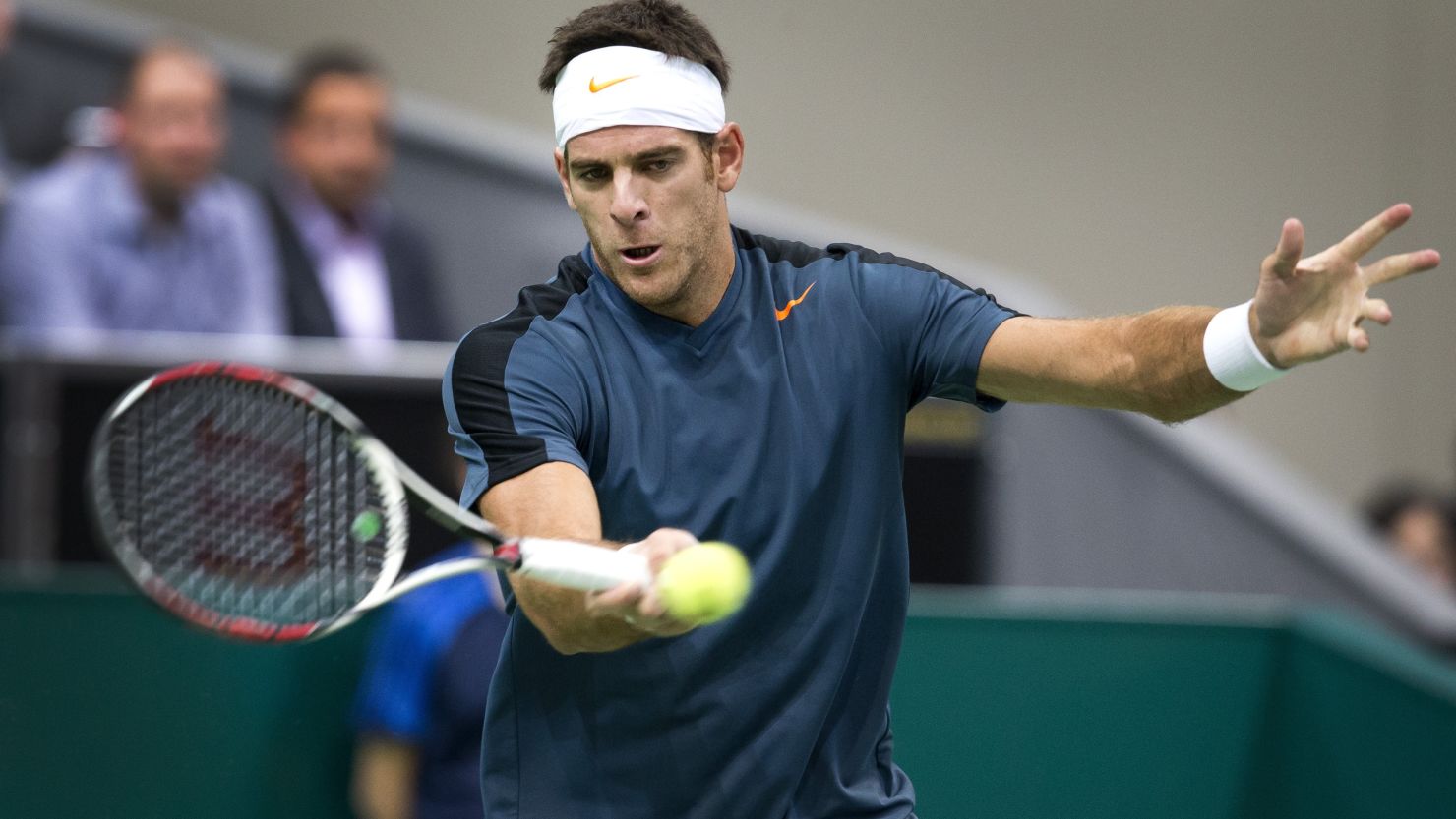 Juan Martin Del Potro defeated France's Julian Benneteau to clinch the title at the Rotterdam Open.