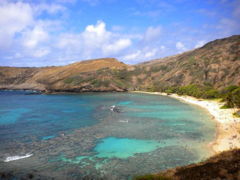 After returning from Iraq, Stephanie Logue spent six weeks working with her Army unit in Hawaii. When she had a day off, she went snorkeling in Hanauma Bay. "The shape of the beach, the abundance of reef, reef fish and turtles really stood out," she says. "You can swim in fairly shallow waters and see amazing species." 