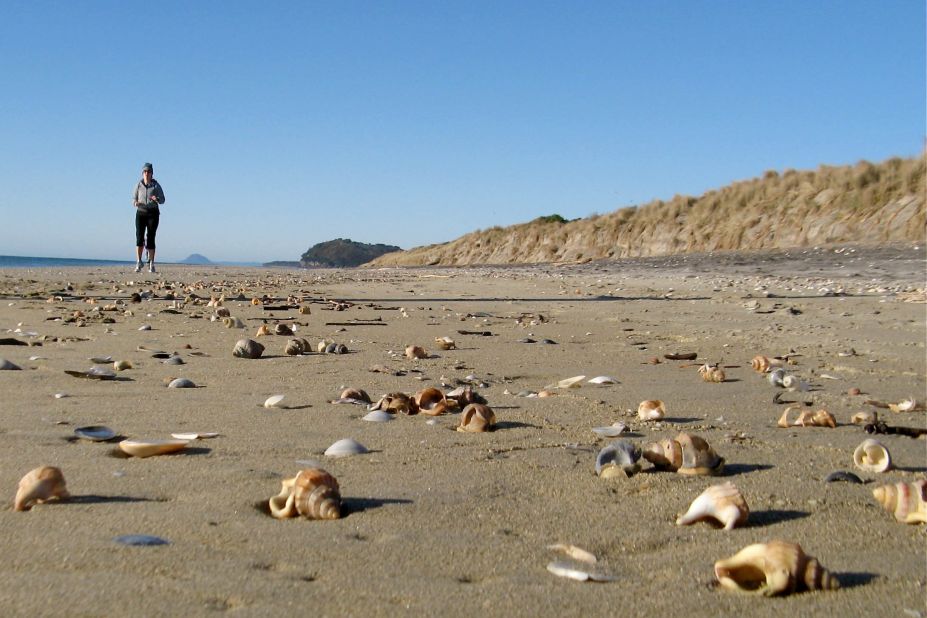 Cindy Schultz describes Waihi Beach in New Zealand, as paradise. When she woke up one morning to walk along the beach, she found the beach covered in "beautiful, perfect shells that had washed up over night." She says, "I was like a kid in a candy shop!"