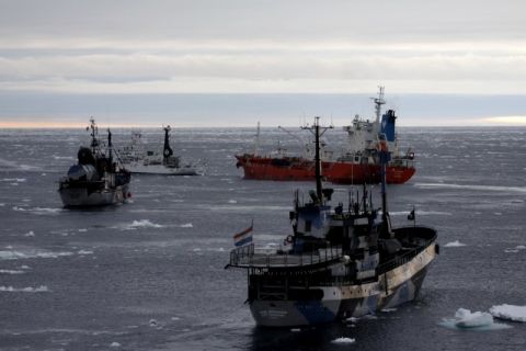 Sea Shepherd vessels surrounding a red supply vessel are pictured on Wednesday, February 20.  From lower right to left: SS Bob Barker, SS Steve Irwin, SS Sam Simon. 
