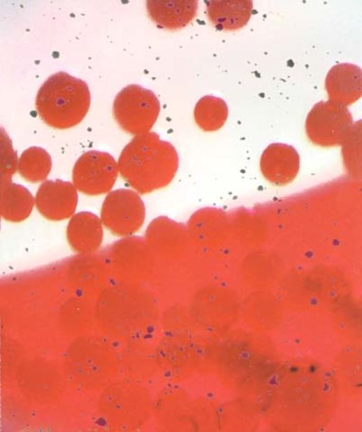 Optical microscope image of a self-healing polymer in action, as microcapsules containing a red healing agent begin to rupture as a crack progresses through the material.