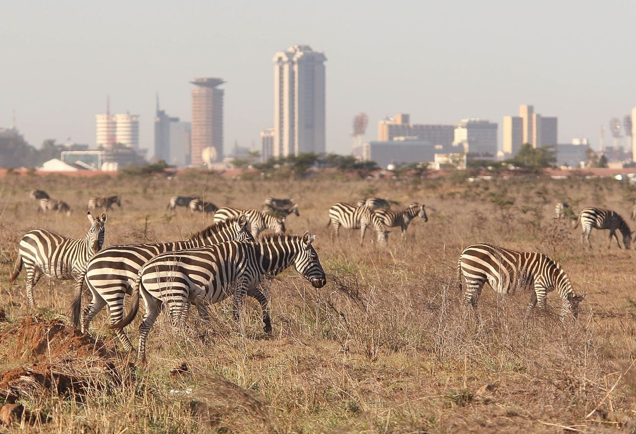 Nairobi National Park is located just 5 miles (8 km) outside Nairobi and overlooks the Kenyan capital. 