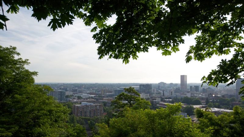 urban forests tourism