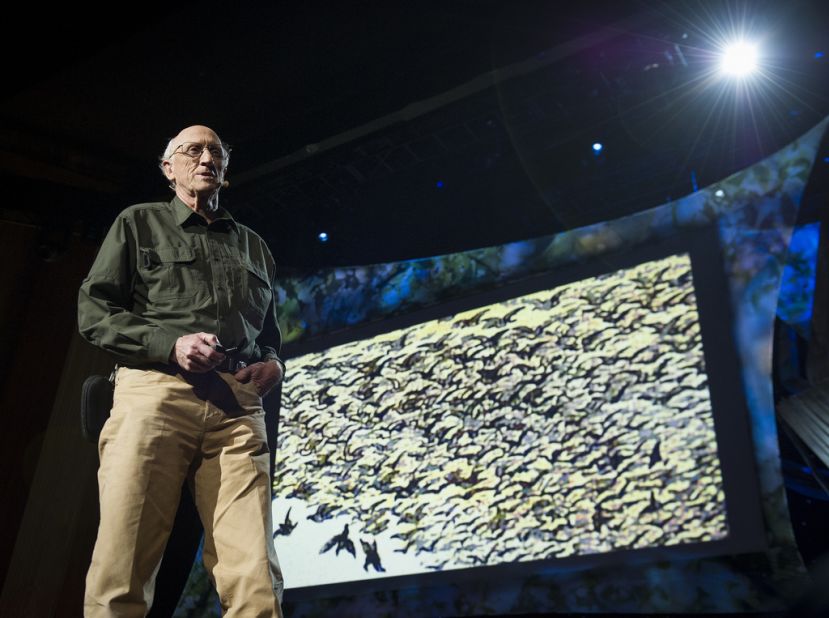 Stewart Brand is organizing an effort to use DNA to recreate extinct species.
