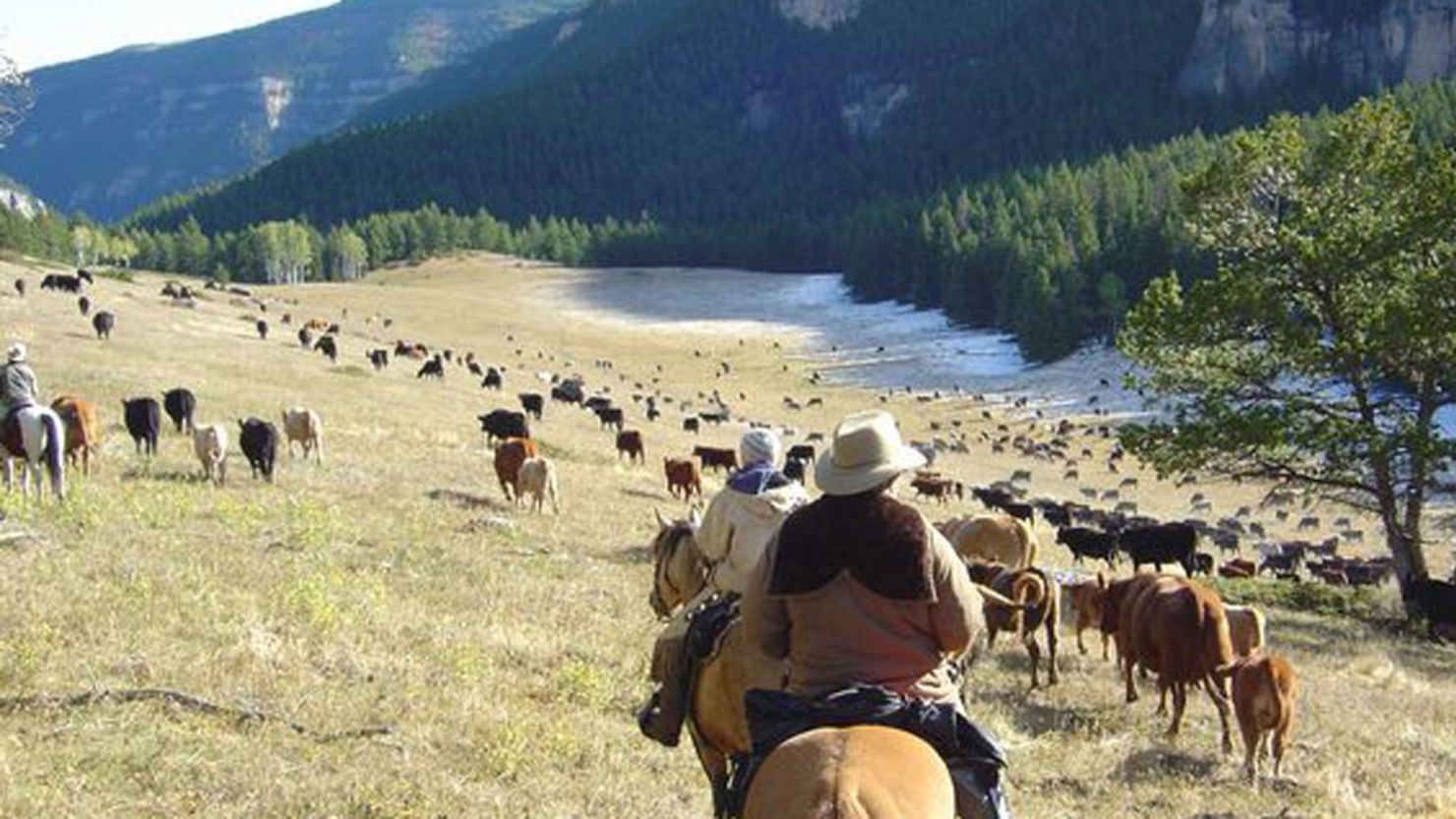 Wyoming's Doublerafter Cattle Drives offers "real deal" Western experiences.