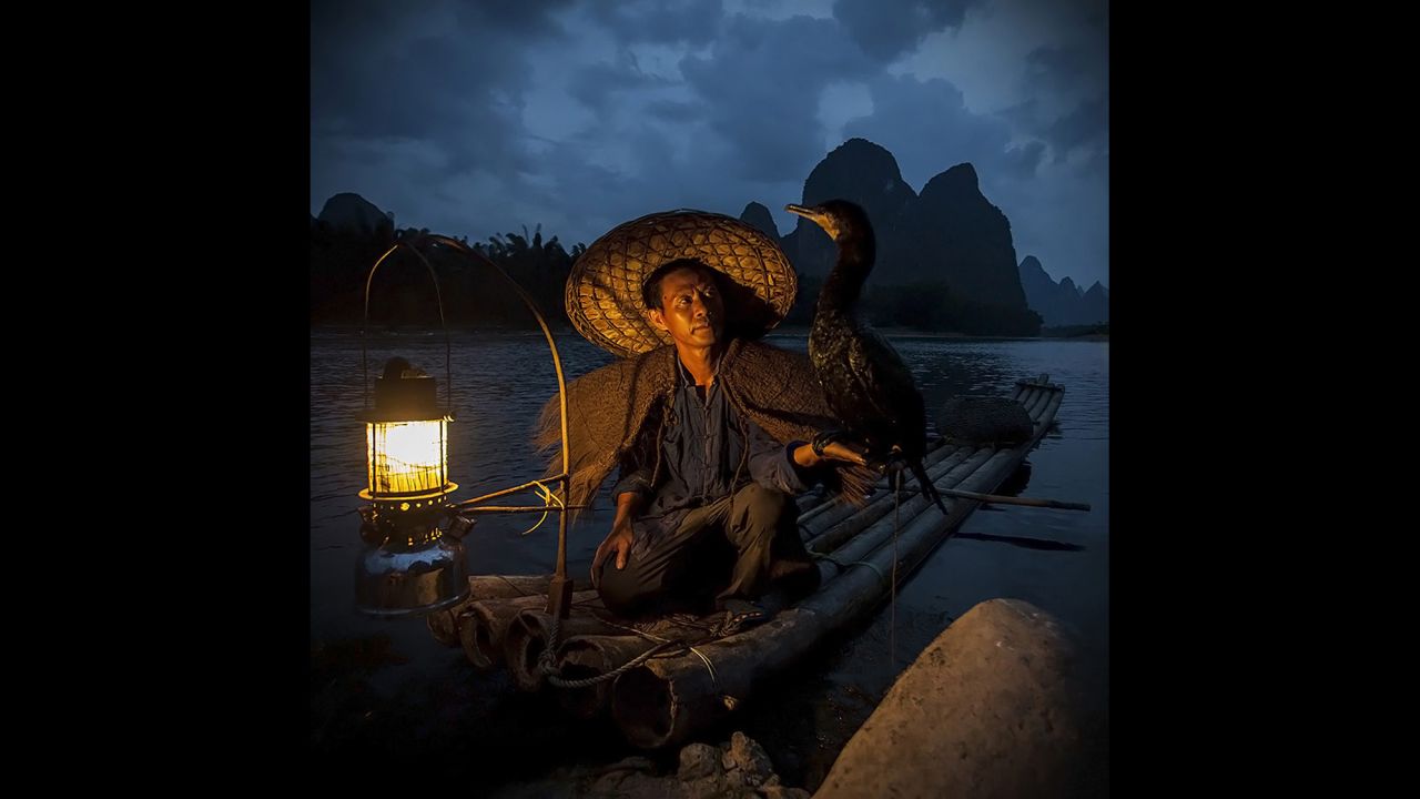 Michael Steverson tomó esta escena en la villa pesquera Xingping, China, donde los pecadores entrenan a los cormoranes para atrapar peces en lagos y ríos.