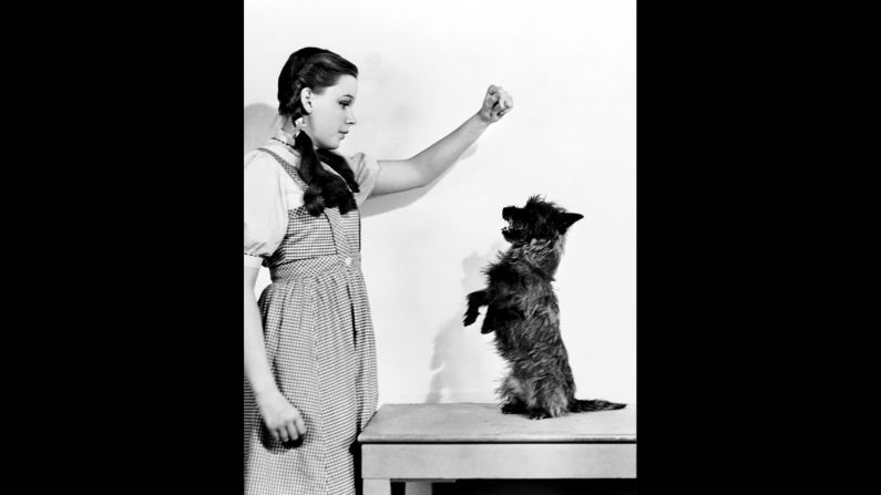 Judy Garland and Terry pose for a publicity shot.