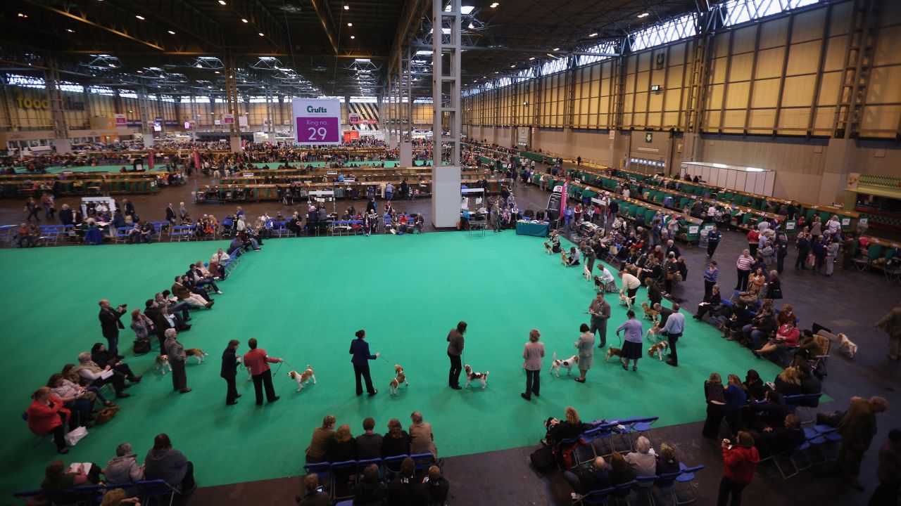 Photos Crufts dog show draws thousands CNN