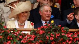 Britain's Prince Charles and Camilla, the Duchess of Cornwall, soak up the atmosphere at Australia's Melbourne Cup. Owning a thoroughbred has long been the luxury hobby of the mega rich. But an increasing number of "Average Joes" are also entering the elite industry.