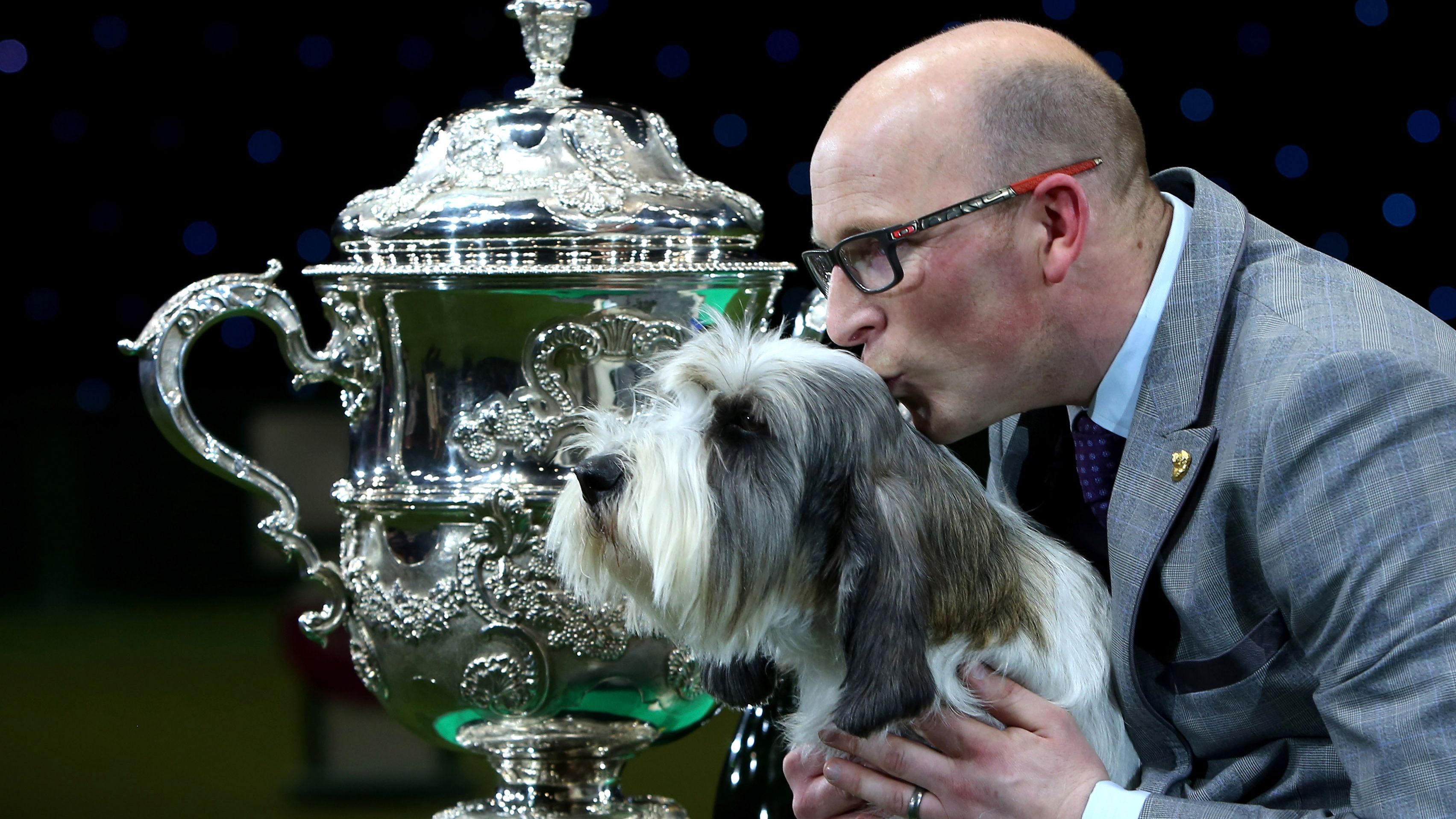 what day is terrier day at crufts 2019