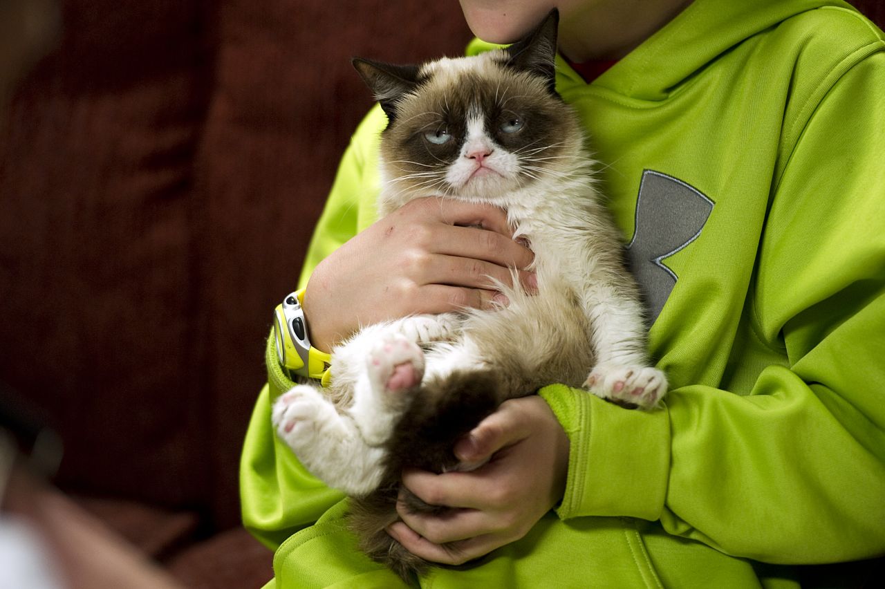 Tardar Sauce, better known by her viral Internet meme name "Grumpy Cat," has been a hit at SXSW. <a href="http://www.cnn.com/2013/03/10/tech/web/grumpy-cat-sxsw/index.html?hpt=hp_c2" target="_blank">Read more.</a>
