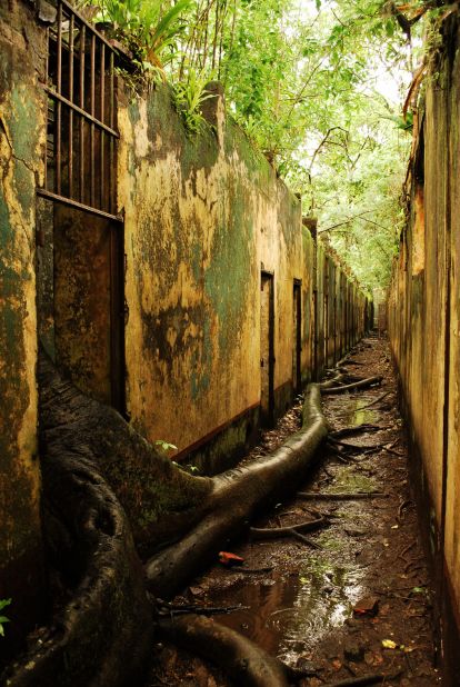 Breaking in, not breaking out. The jungle encroaches upon the abandoned cells on Ile St. Joseph, French Guiana.