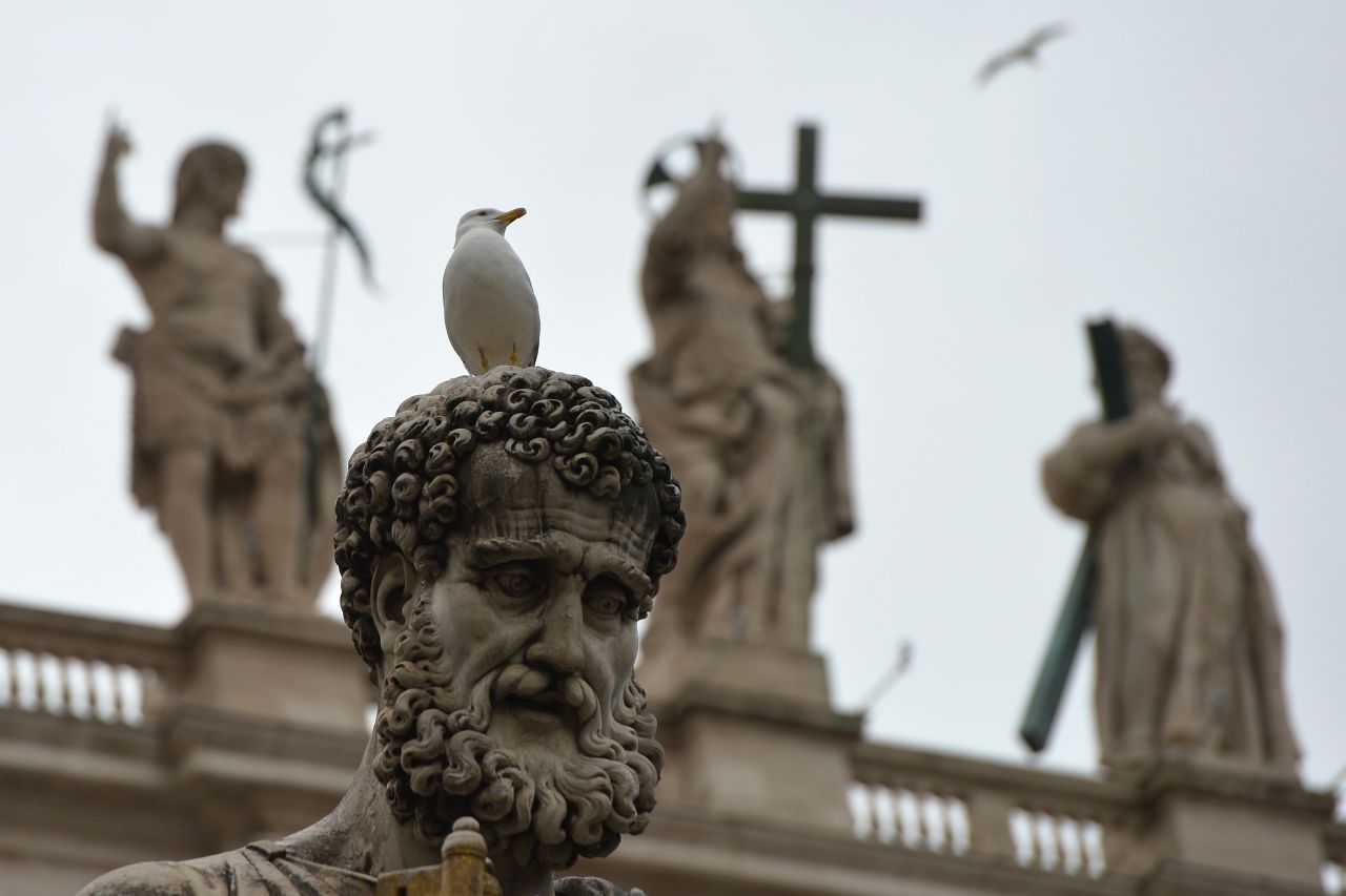 A seagull perches on a statue in St. Peter's Square on March 13.
