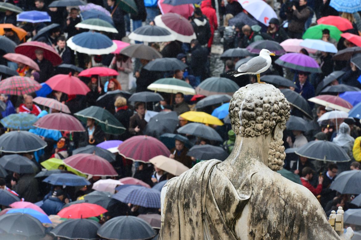A seagull stands on a statue of St. Peter as Catholics and other observers await the results on March 13. 