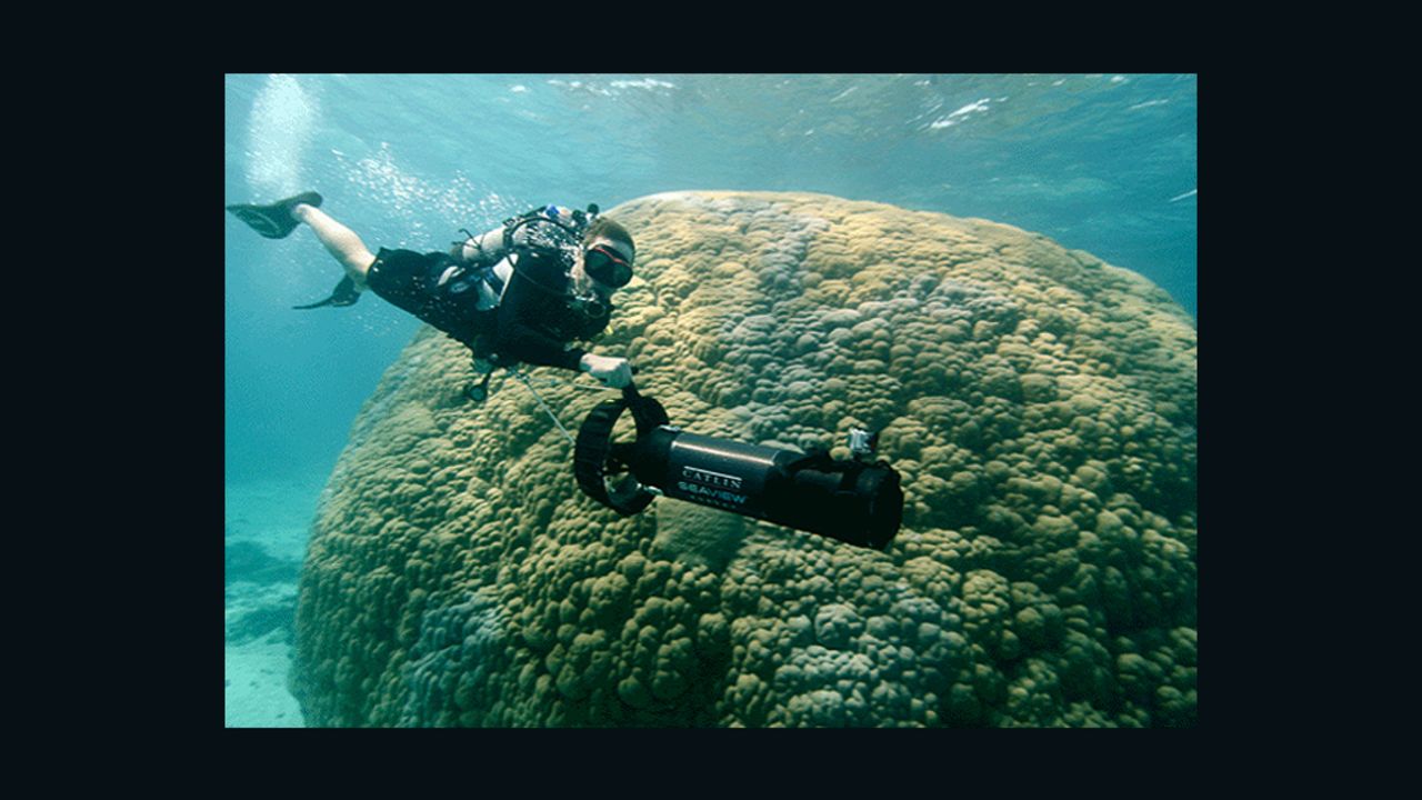 The explorer and environmental advocate will guide you through all the issues affecting ocean eco-systems.