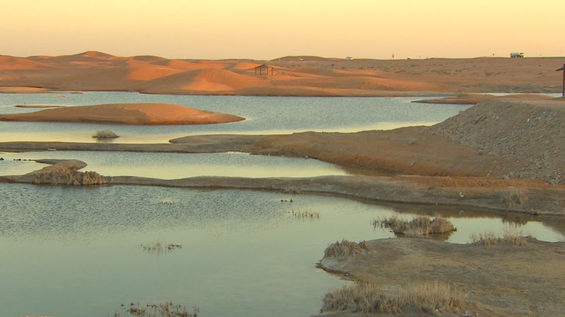 Roberts says Lake Zakher, which emerged from the dunes as a result of wastewater dumping, is one of the UAE's best birdwatching spots.