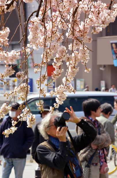 Parts of Japan, including Tokyo, have seen record high spring temperatures, leading to the early blooming. 