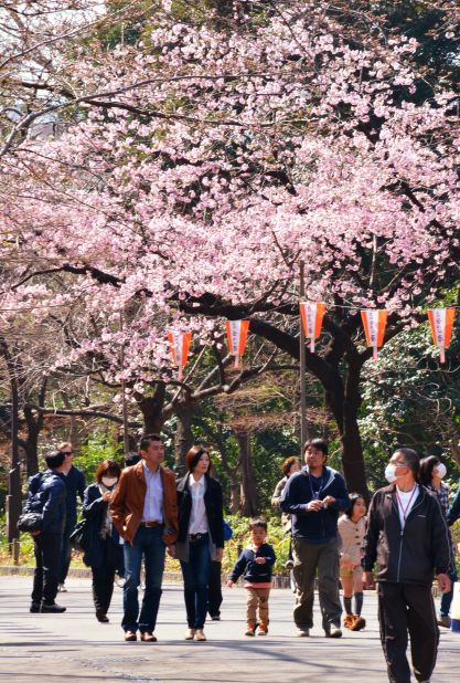 Tokyoites hit the parks over the weekend as sakura (Japanese cherry blossom) season got off to a record early start.