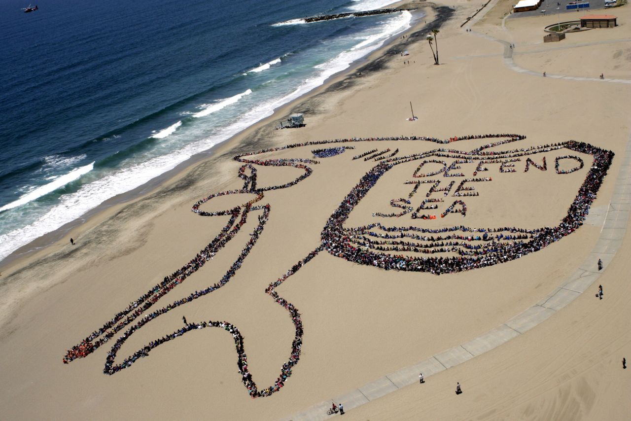 Los Angeles, June 2012: More than 5,000 children, teachers and volunteers form a massive kid-designed shark and shield on  World Oceans Day. This year's event takes place on June 8. 