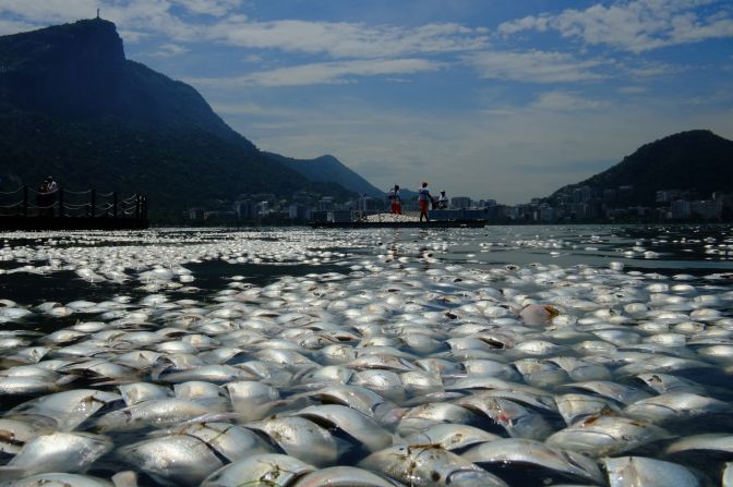 Tons of dead fish float on the waters of the Rodrigo de Freitas lagoon, beside the Corcovado mountain in Rio de Janeiro, Brazil. Threats from pollution, overfishing and climate change are putting marine life under immense strain.