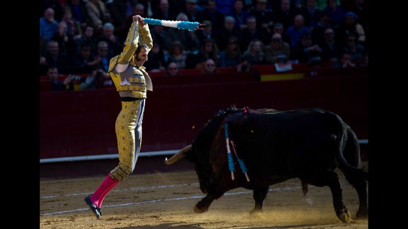 Bullfighter Juan Jose Padilla faces off against a bull during a fight March 18.