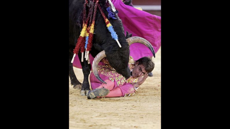 Spanish apprentice bullfighter Vicente Soler ends up under a bull after losing his footing in a fight on March 11.